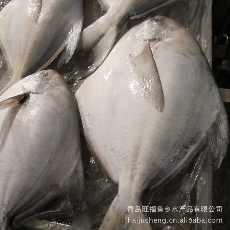 2025年海参价格揭秘：数据背后的选购逻辑