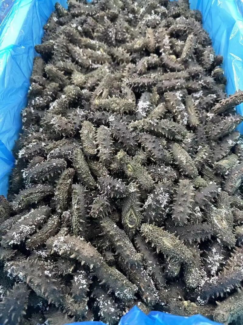干贝与瑶柱，哪种更适合你？——大连吉祥天商贸带你看清两者的差异